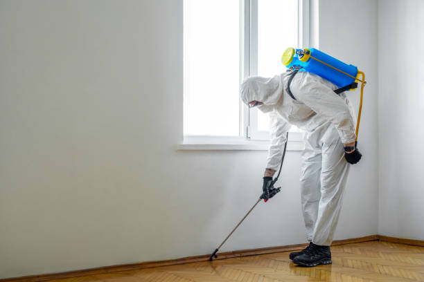 Best Pest Removal Services  in Edgewood, TX