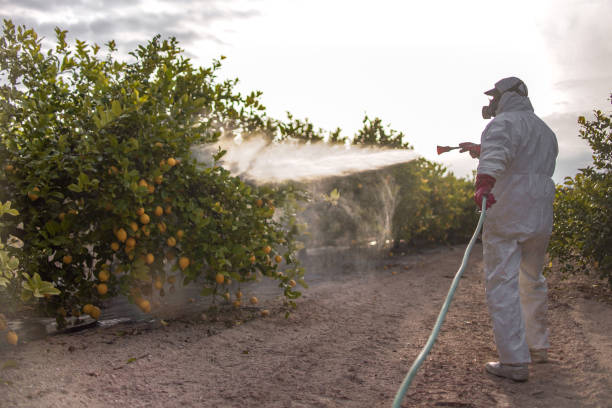 Best Commercial Pest Control Services  in Edgewood, TX